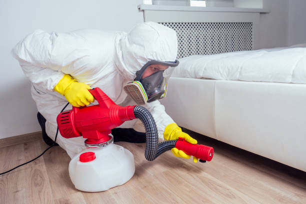 Best Ant Control Services  in Bluewell, WV