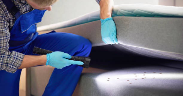 Best Pest Removal Services  in Bluewell, WV