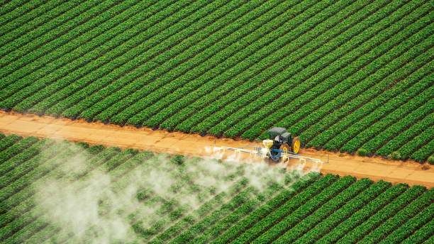 Best Mosquito Control Services  in Bluewell, WV